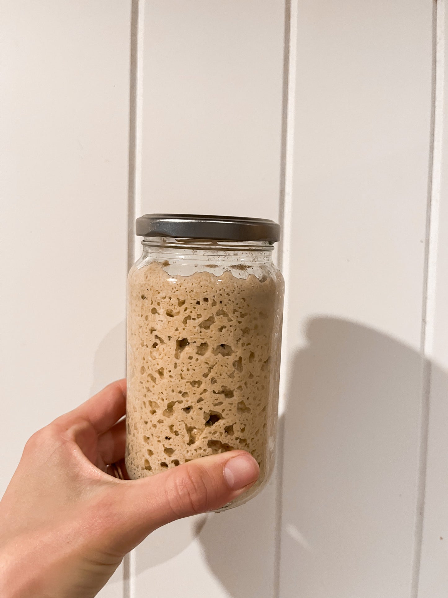 1kg Whole Wheat Flour