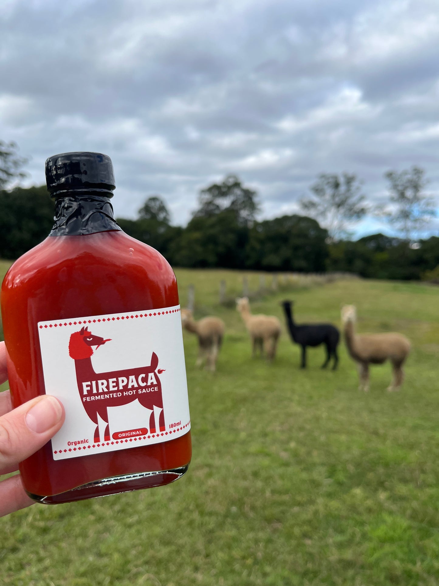 Firepaca Fermented Chilli Sauce