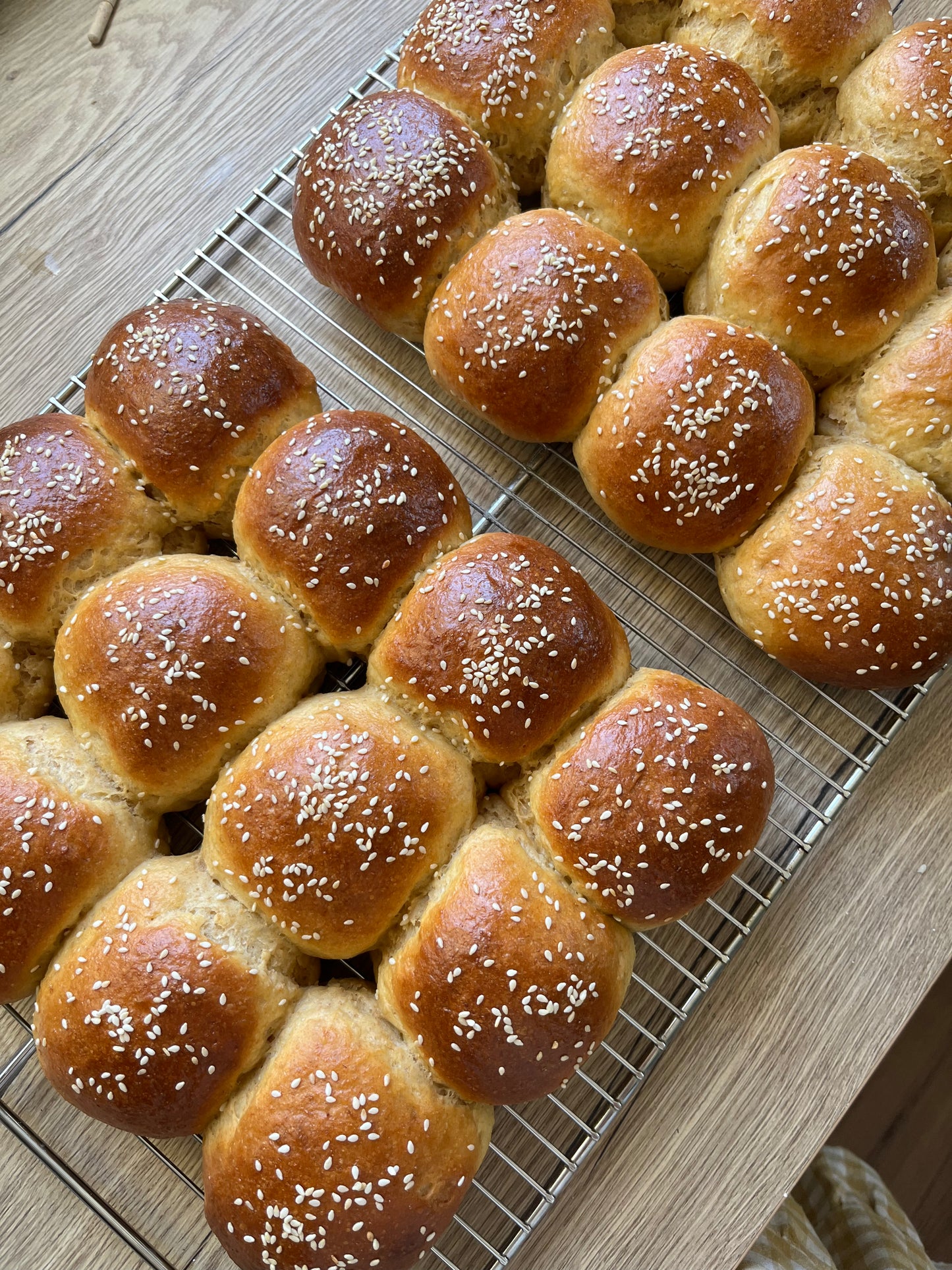 Sourdough Starter Pack