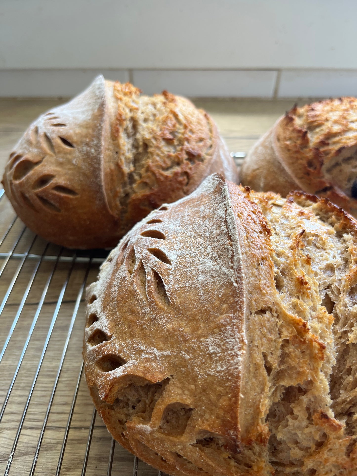 1kg Trusty Sourdough Bread Flour Blend