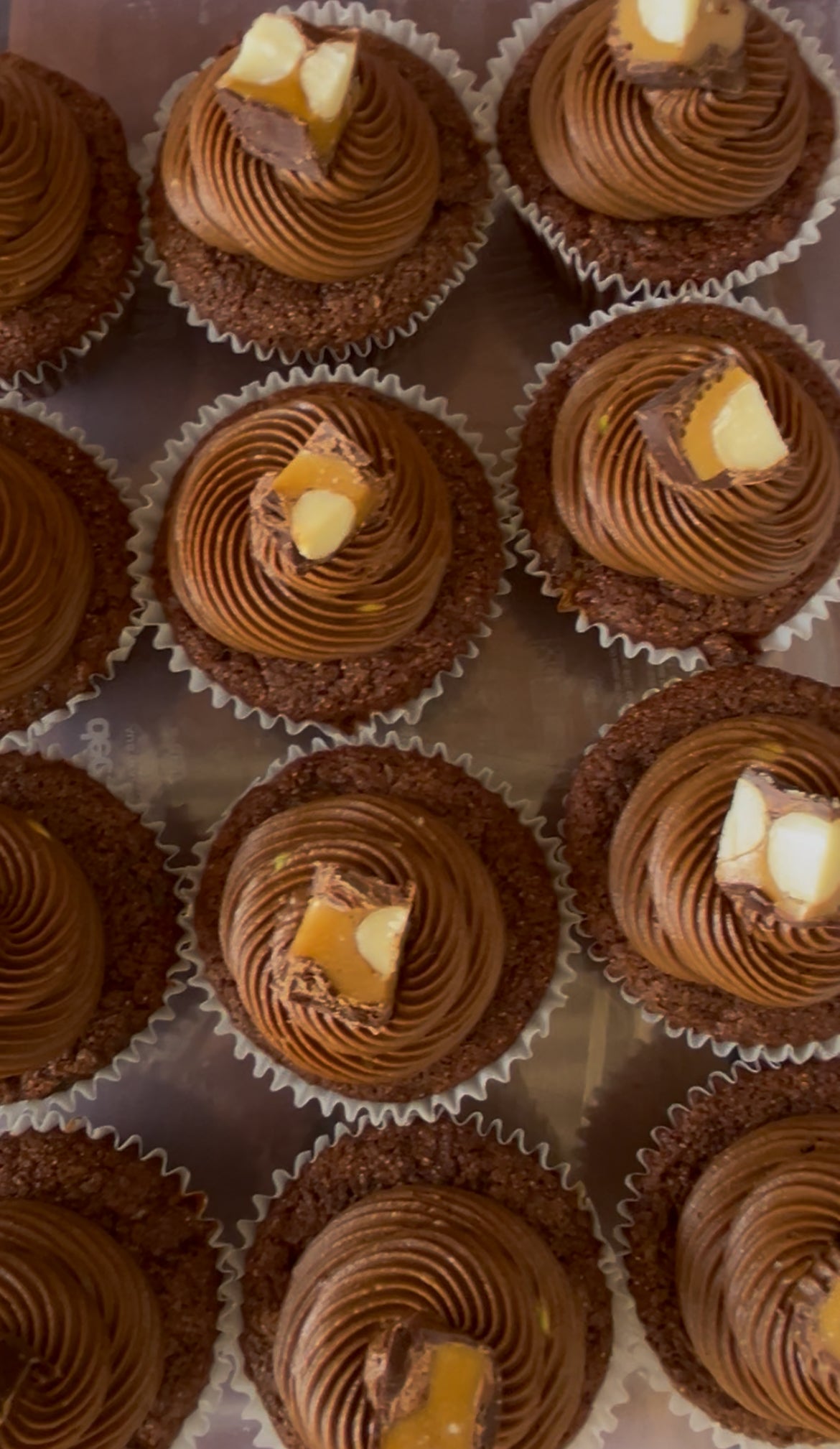 Sourdough Chocolate Cake Mix