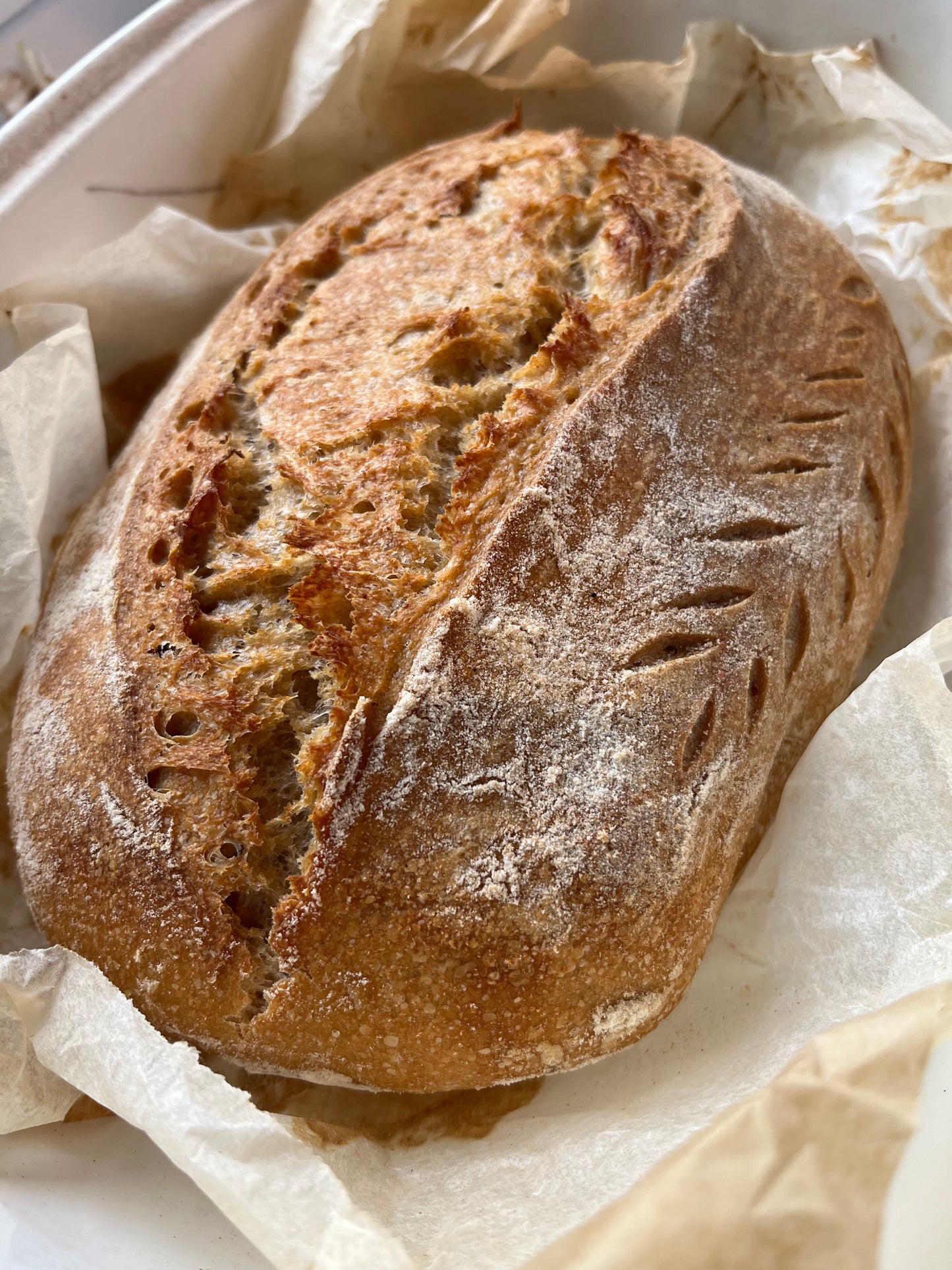 Dehydrated Whole-Wheat Sourdough Starter