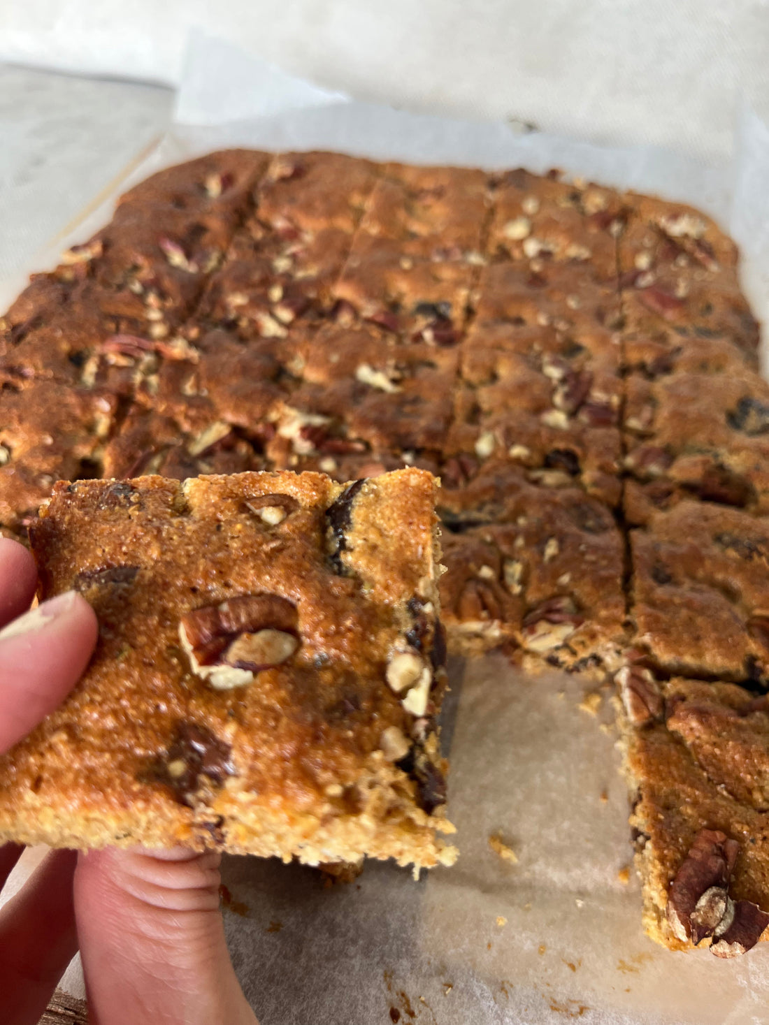Freshly Milled Fruit & Nut Slice
