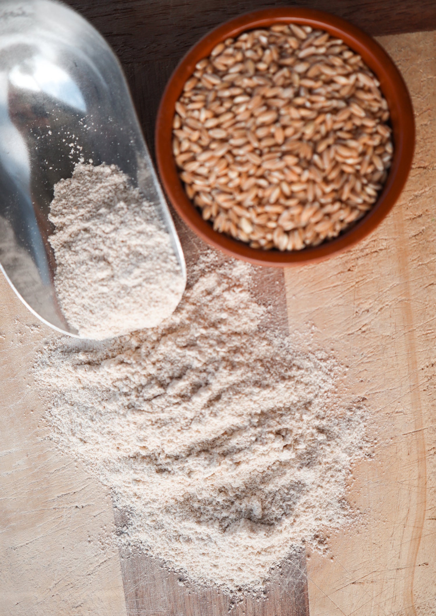 Wooden surface with freshly milled wheat flour and a bowl of wheat berries.