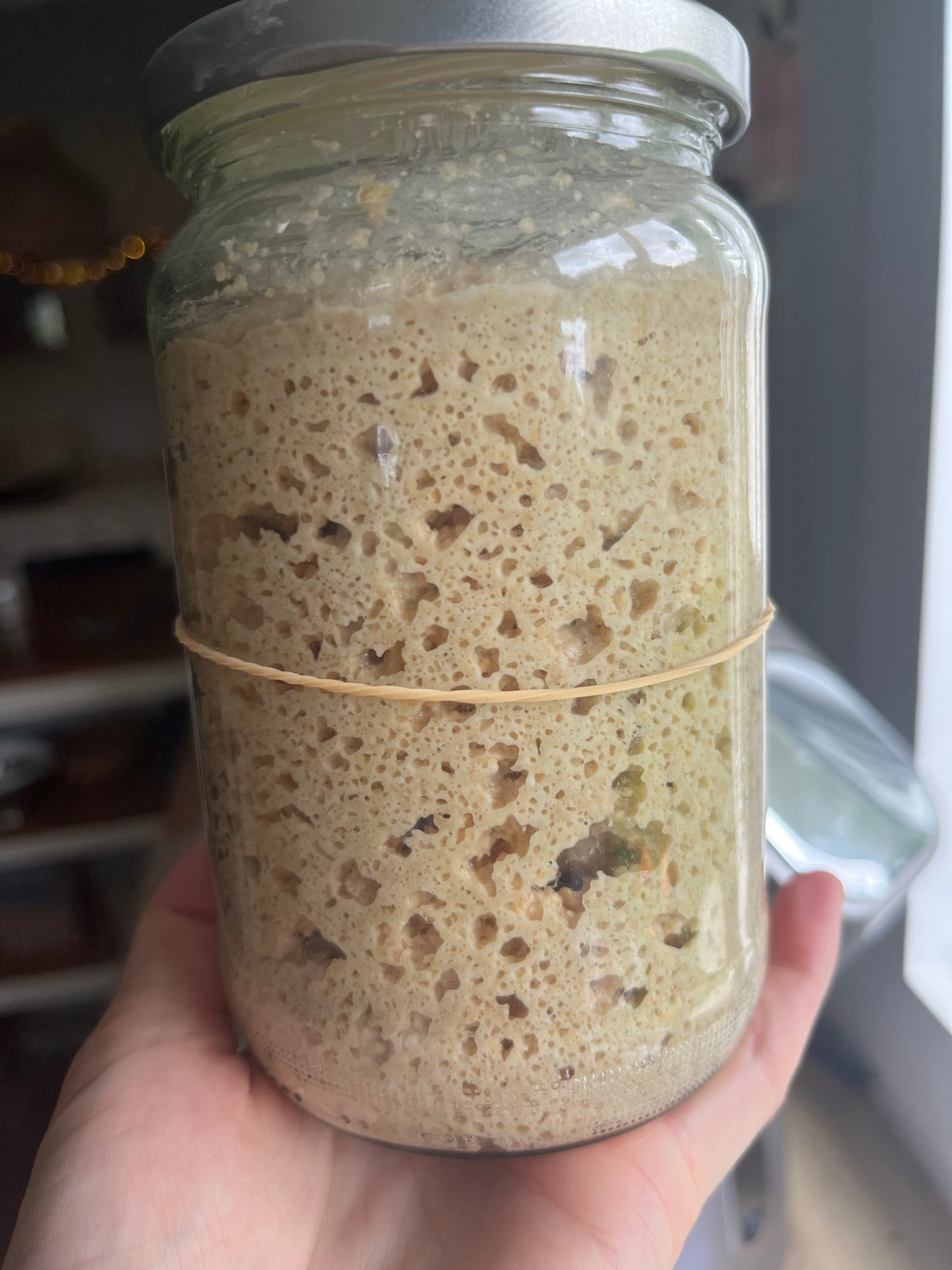 Dehydrated Whole-Wheat Sourdough Starter