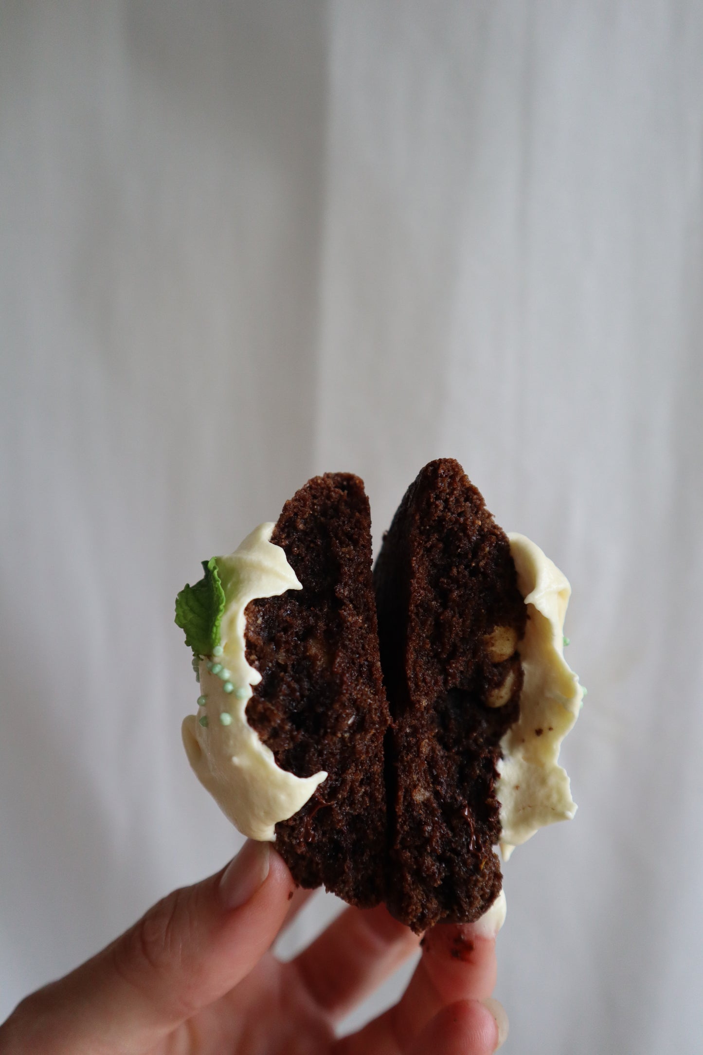Double Choc-Mint Cookies (4 pack)