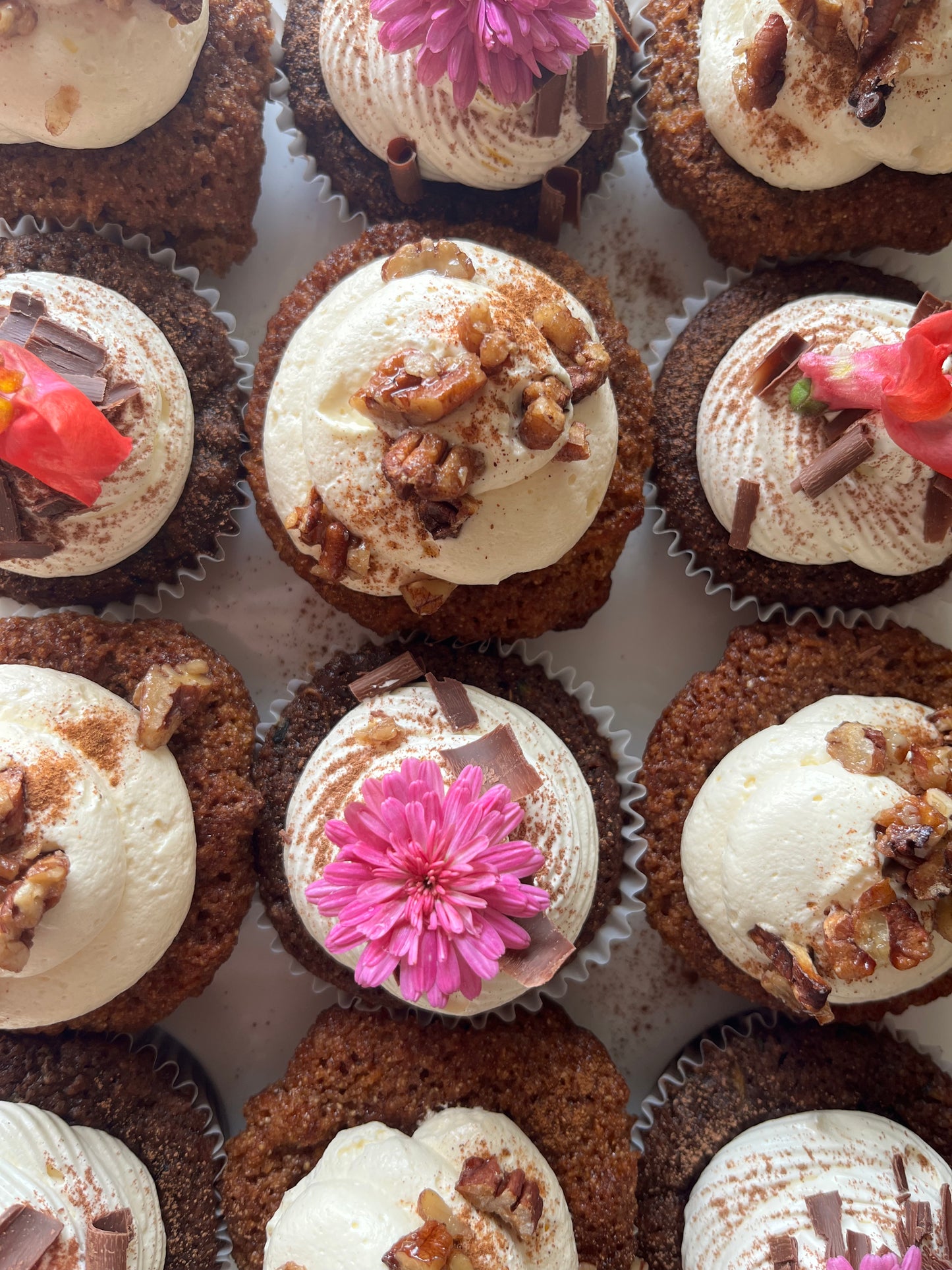 Box of 6 Cupcakes