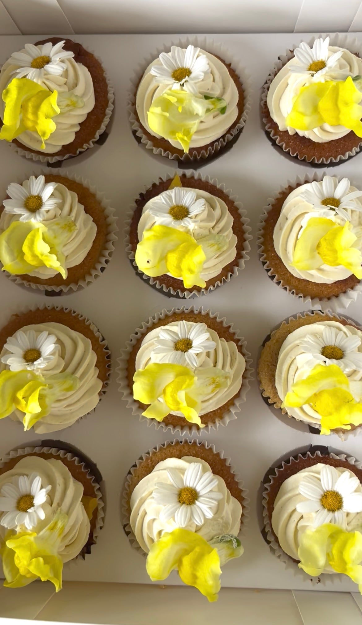 Zesty Lemon Cake Mix