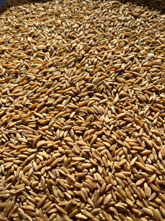 1kg Whole Emmer Flour