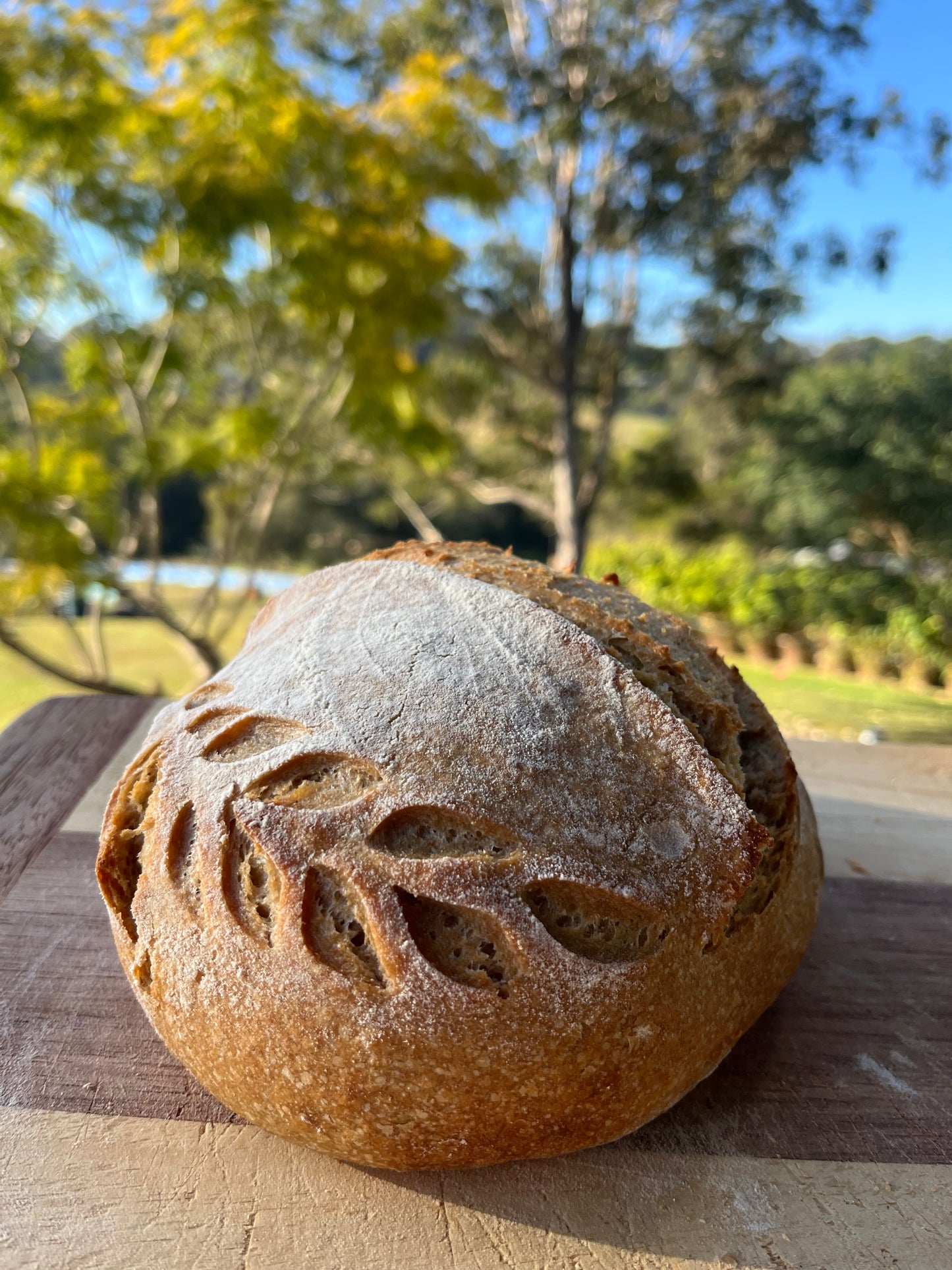 1kg Whole Spelt Flour